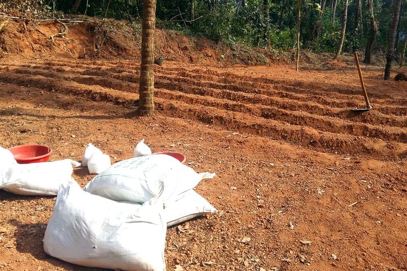 പ്രമാണം:20161208 144838setzrnfdh.jpg