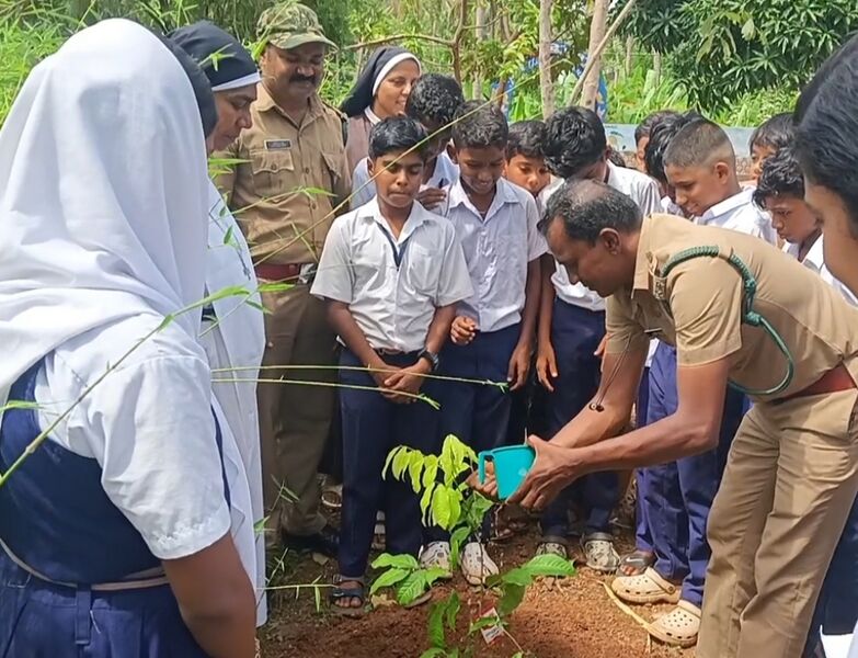 പ്രമാണം:22267 Environment day 2025.jpg