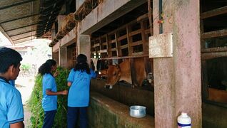 ലിറ്റിൽ കൈറ്റ്സ് കുട്ടികൾ  ഫാം ഹൗസ് സന്ദർശിച്ചു