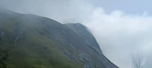 30008 neighbourhood.jpeg