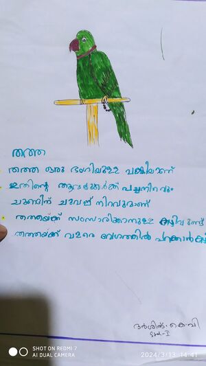 33355-KTM-KUNJ-DARSHITH K V.jpeg