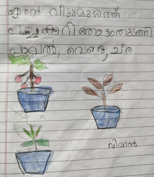 പ്രമാണം:34330-ALP-KUNJ-VIVAN ROMAN RIQUELME.jpg