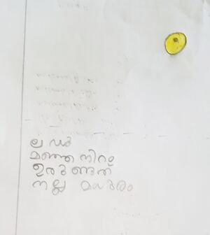 35229-ALP-KUNJ-UMMU HABEEBA IB.jpg