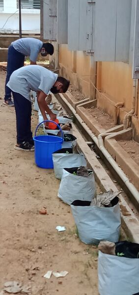 പ്രമാണം:37001 pachakari4.jpeg