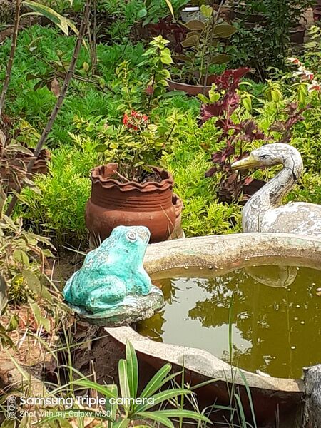 പ്രമാണം:41409 biopark2.jpeg