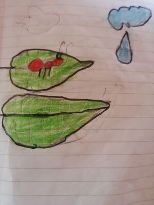 42238-TVM-KUNJ-SUMI S.jpg