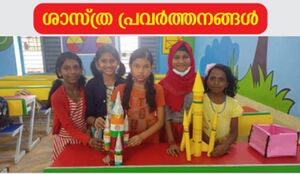 44035 SCIENCE ACTIVITY.jpg