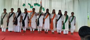 47026-stghssv-Independence day14.jpg