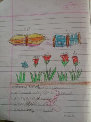 48137-MLP-faiha .jpeg