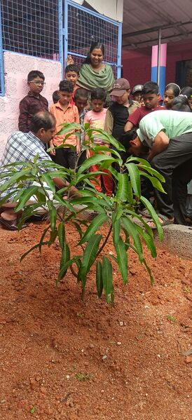 പ്രമാണം:Awareness 42630.jpg