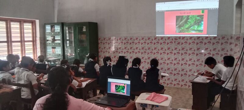 പ്രമാണം:Daaali 26337.jpg