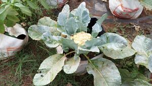 IMG 20170221 155249.jpg