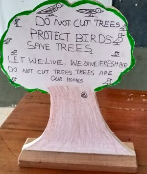 29312 scienceclub23.jpg