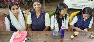 34044-GHSM-SCIENCE EXHIBITION2025-17.jpg