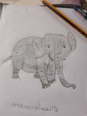 38037-PTA-KUNJ-NAYAGRA T PRABHU.rotated.jpg