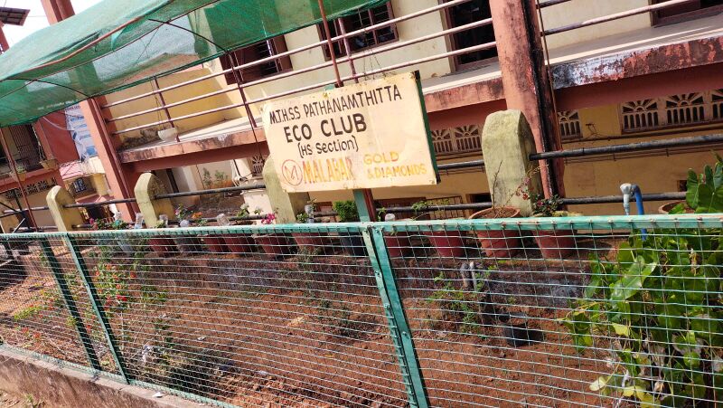 പ്രമാണം:38055 eco1.jpeg