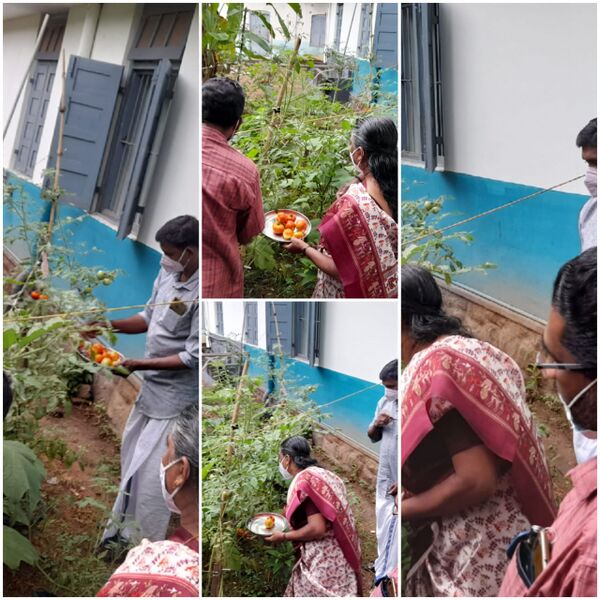 പ്രമാണം:43013 Harvest.jpg