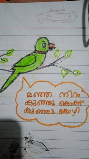 45306-KTM-KUNJ-EVELINE SANEESH.jpg