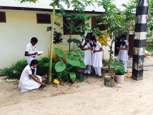 Ncsc 15 35052 (4).JPG