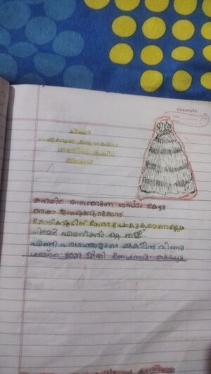 11469-KGD-KUNJ-AIZA FATHIMA 1 B.jpeg