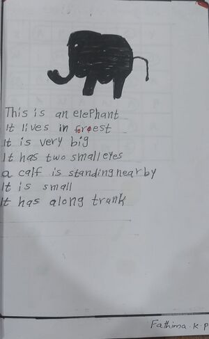 13741 KNR KUNJU FATHIMA KP.jpg