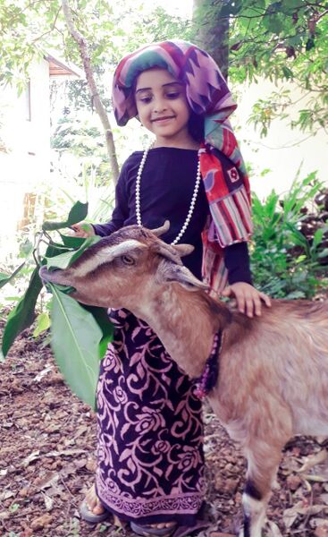 പ്രമാണം:18402 10.jpg