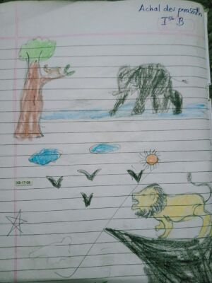 19527-MLP-KUNJ-ACHALDEV PRASANTH.jpg