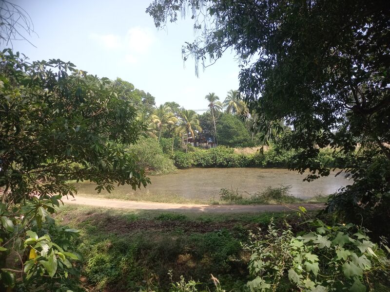 പ്രമാണം:23353-pond.jpg