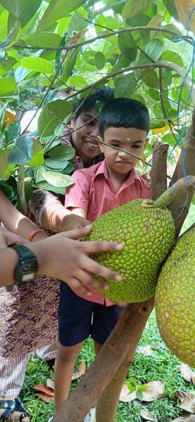 പ്രമാണം:24348 gbs pd 7.jpg