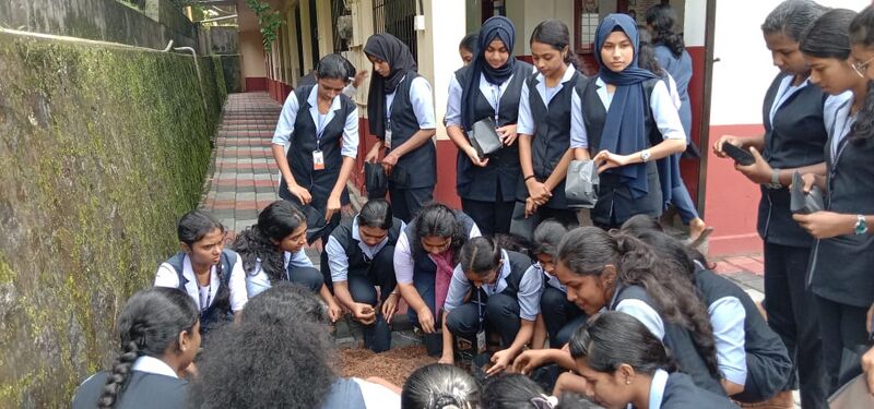 പ്രമാണം:29040-NSS Vegetable Cultivation-1.jpg