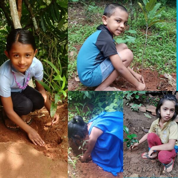 പ്രമാണം:29411 EnvironmentDay2.jpeg