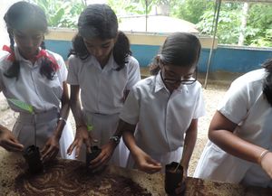 31076 redcross12.JPG