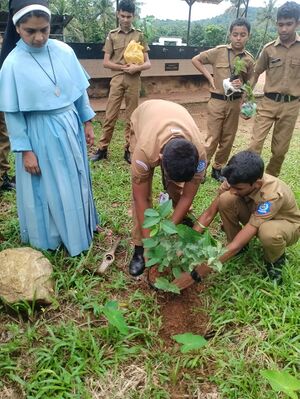 32037-Environment Day 2026-2.jpeg