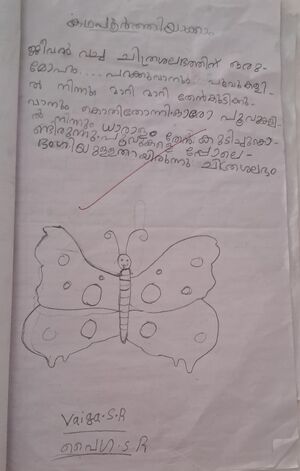 40326-KLM-KUNJU-VAIGA V.jpeg