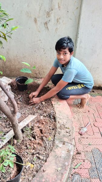 പ്രമാണം:44050 eco 44.jpeg