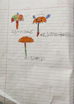 44307-TVM-KUNJ-Alvin (2).jpg