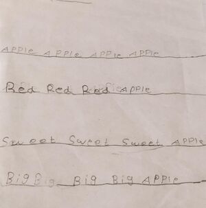 48520-MLP-KUNJ-MISHAL 1B.jpeg