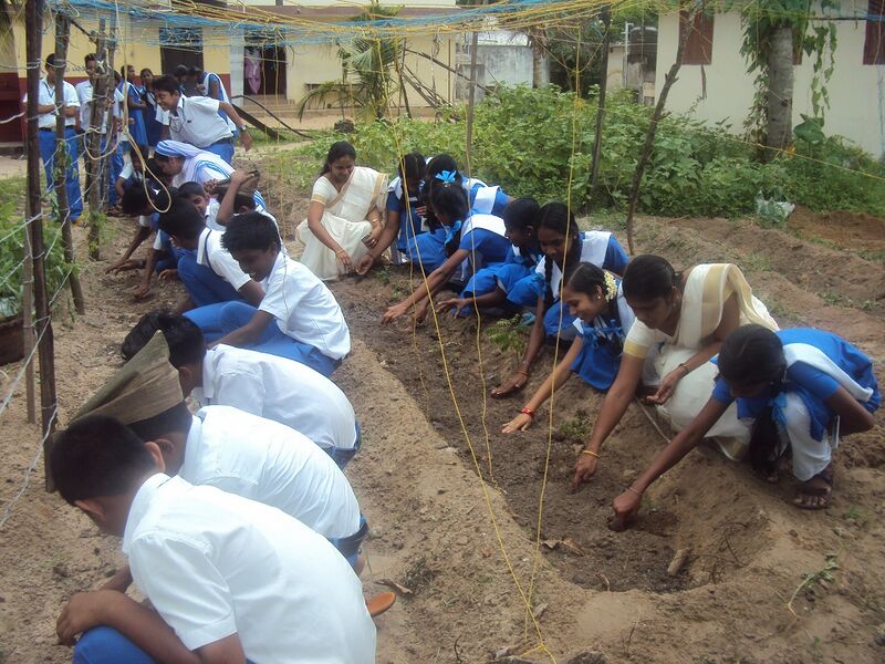 പ്രമാണം:Krishimuttam 15 35052 (4).JPG