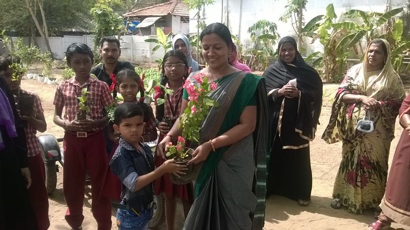 പ്രമാണം:Plant 1-24201 01.jpg