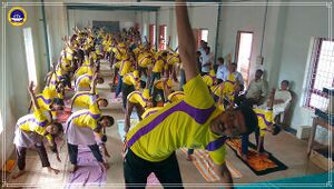 11051 INTERNATIONAL YOGA DAY20171.jpg