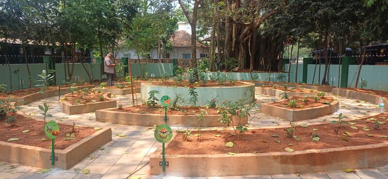 പ്രമാണം:12036 butterfly park 2026 1.jpg