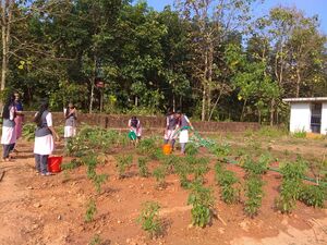 13121 karshika club 3.jpg