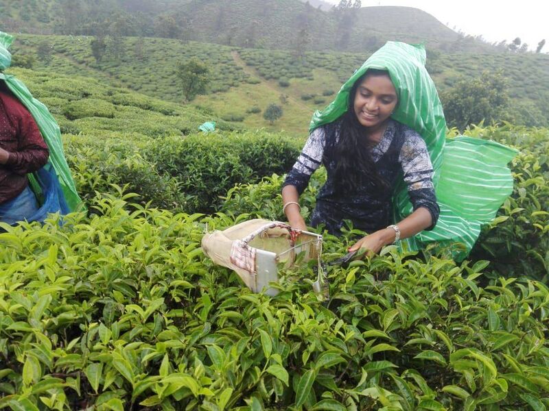 പ്രമാണം:15016 yt81.jpg