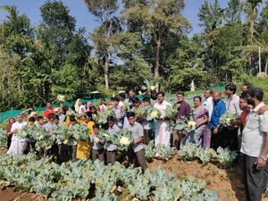 15086 adukkalathottam 2.jpg