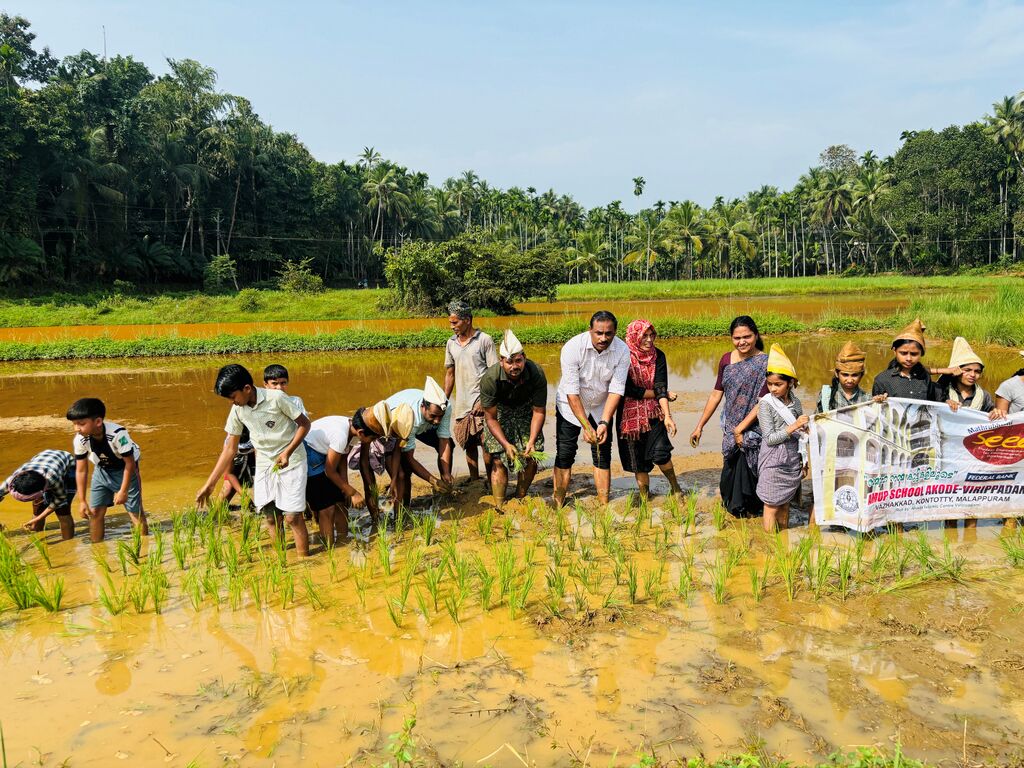 ആക്കോട് വിരിപ്പാടം എ.എം. യു.പി. സ്കൂളിലെ സീഡ് ക്ലബ്ബംഗങ്ങൾ ദേശീയ കർഷകദിനത്തിൽ കരിമ്പനക്കൽ പാടത്ത് ഞാറു നടുന്നു