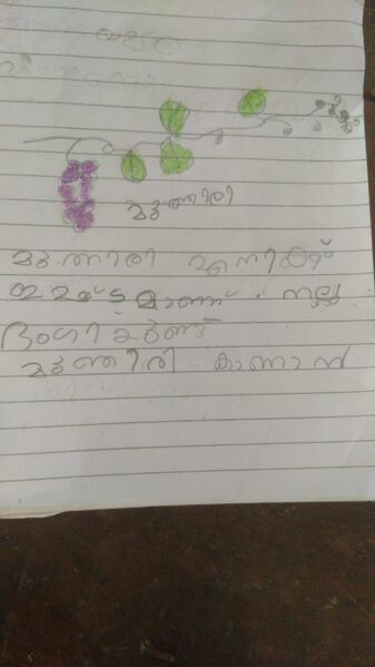 പ്രമാണം:19626-MAL-KUNJ-FATHIMA RAFEEHA.jpg