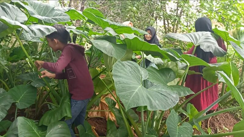 പ്രമാണം:19833-krishi chembu 2022 23 2.jpg