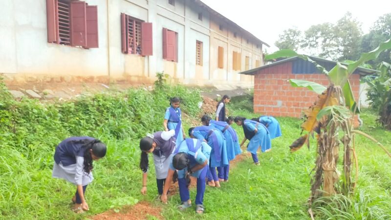 പ്രമാണം:20042 Guides.jpg