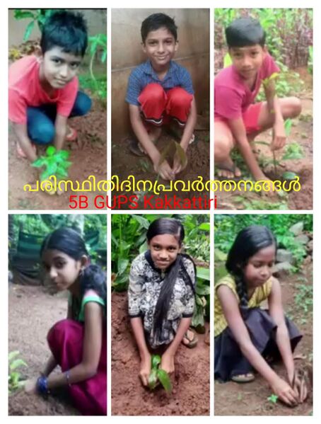 പ്രമാണം:20544 5B paristhithy dinam.jpg