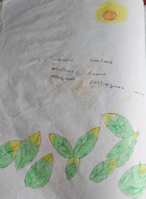 21363-PKD-KUNJ-DRISHYTH S.jpg